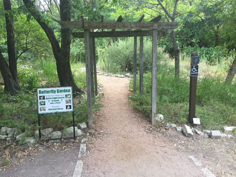 Little Bluestem Trail Cedar Ridge Preserve Dfw Trail Guide